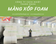 Mút Xốp Pe Foam Dùng Trong Ngành Vận Chuyển