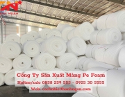 Mút Xốp Pe Foam Lót Trái Cây Giá Rẻ Tại Biên Hòa