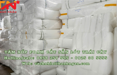 Mua Mút Xốp Pe Foam Lót Trái Cây Tại Bình Định