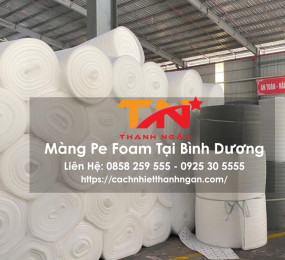 Công Ty Sản Xuất Màng Pe Foam Đóng Gói Tại Bình Dương
