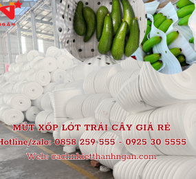 Mút Xốp Lót Trái Cây Giá Rẻ Tại Đồng Nai - Xốp Foam Giải Pháp Bọc Lót Trái Cây Hiệu Quả