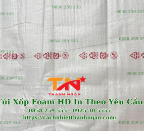 Túi Xốp Foam HDPE In Theo Yêu Cầu Tại Đồng Nai
