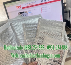 Túi Xốp Bạc Giữ Nhiệt Cho Hàng Đông Lạnh Tại Đồng Nai