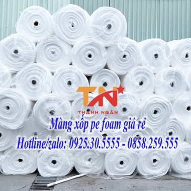 Mút Xốp Pe Foam Giá Rẻ Ở Long Thành