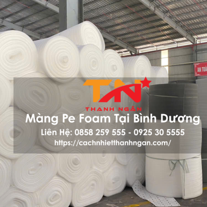 Công Ty Sản Xuất Màng Pe Foam Đóng Gói Tại Bình Dương