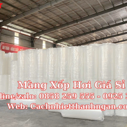 Màng Xốp Hơi Giá Sỉ: Giải Pháp Đóng Gói Toàn Diện, Hàng Có Sẵn Tại Cách Nhiệt Thanh Ngân