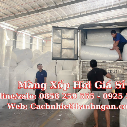 Màng Xốp Hơi Giá Sỉ: Giải Pháp Đóng Gói Toàn Diện, Hàng Có Sẵn Tại Cách Nhiệt Thanh Ngân