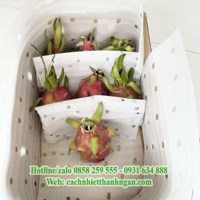 Mút Xốp Lót Trái Cây Xuất Khẩu