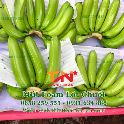 Màng Xốp Foam Lót Chuối Tại Định Quán, Đồng Nai