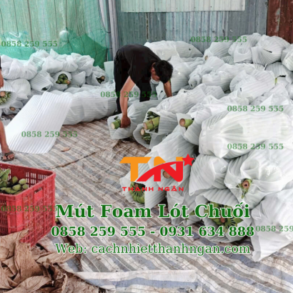 Cuộn Xốp Foam Quấn Chuối Giá Rẻ Tại Đồng Nai