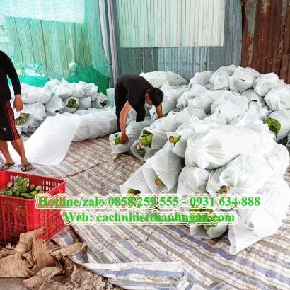 Màng Xốp Foam Lót Chuối Tại Định Quán, Đồng Nai