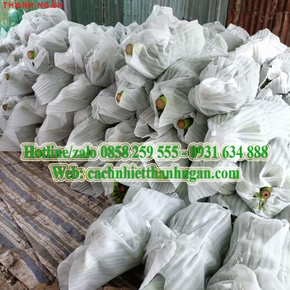 Mút Xốp Bọc Lót Chuối Giá Rẻ Ở Đồng Nai