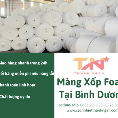 Công Ty Sản Xuất Màng Pe Foam Đóng Gói Tại Bình Dương
