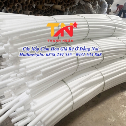 Mua Ống Xốp Đặc Ruột, Thanh Xốp Rod Giá Rẻ Ở Đâu ?