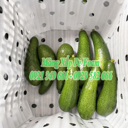 Màng Xốp Foam Lót Chuối Tại Định Quán, Đồng Nai